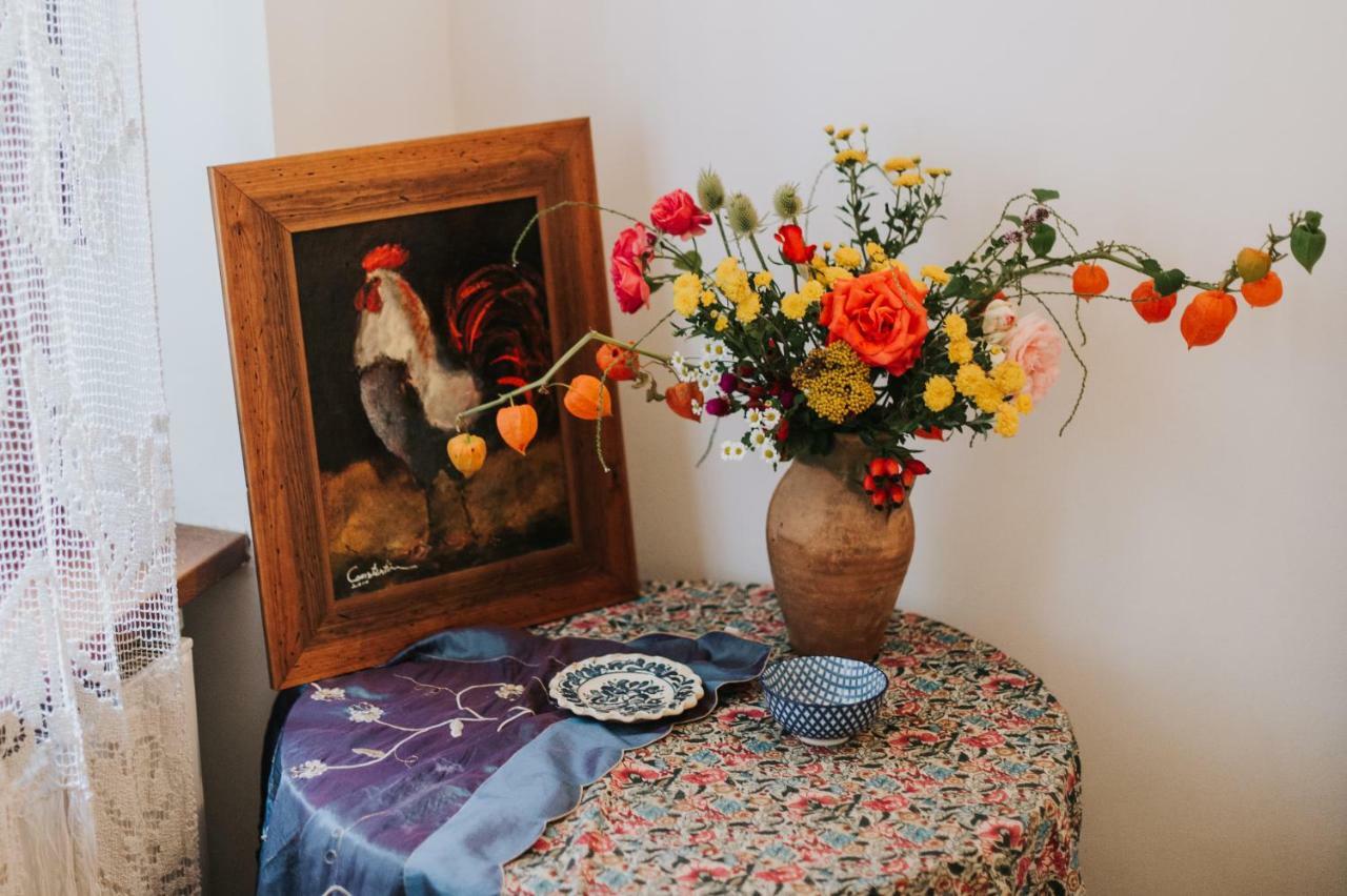 Art Gallery Apartment Brasov